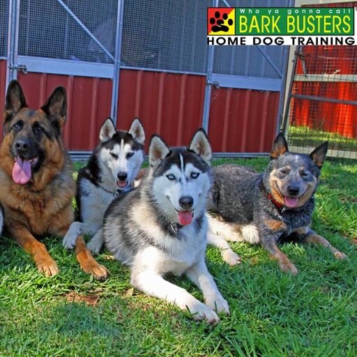 BarkBustersWSW's profile picture. Best #dogtrainer in South West Sydney. Any breed, any age, any size #DogTraining that works.