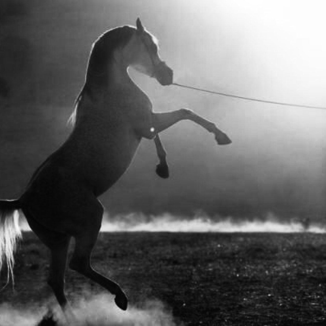 alotaibi_khalid's profile picture. اللهم لك الحمد حتى ترضى و لك الحمد إذا رضيت و لك الحمد بعد الرضى