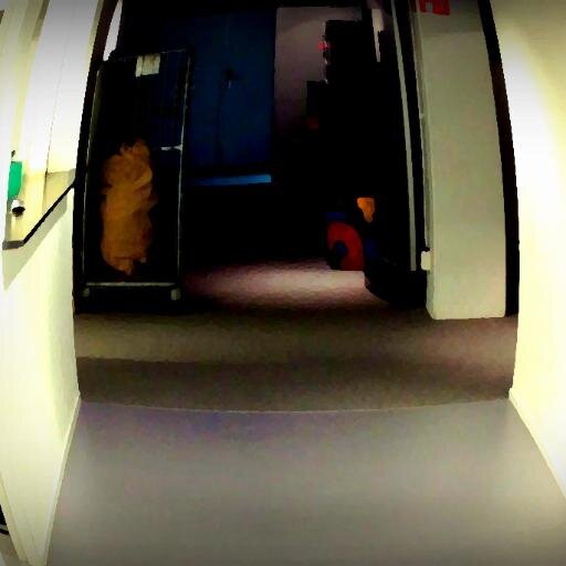 ServiceAVROTROS's profile picture. 