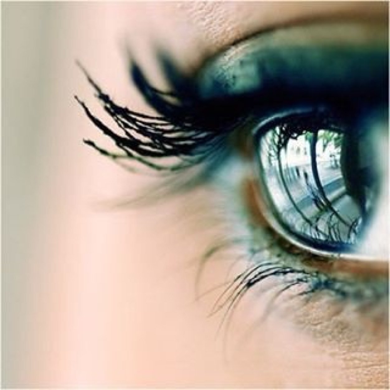 jacquelien1971's profile picture. • FoodLover • Moeder • Partner • Sport -en Muziekliefhebber • Wandelen • https://t.co/yBWfvnPOlW