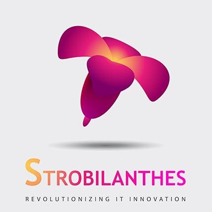 Strobilanthes Technology Solutions offers state-of-the-art services in the domains of Internet of Things,Augmented Reality, Mobile Apps and Big Data Analysis.