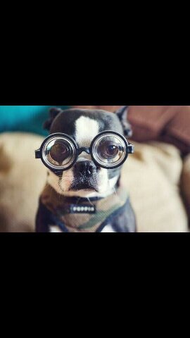 iGot0Chill's profile picture. 