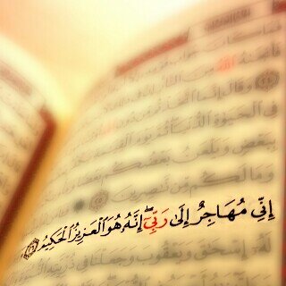‏‏‏‏‏لدي قيم ومبادئ لا أتنازل عنها ان وجدتها  بالمغردين تابعتهم .... مفضلتي مني ومنكم ولكم مروركم عليها يسعدني❤