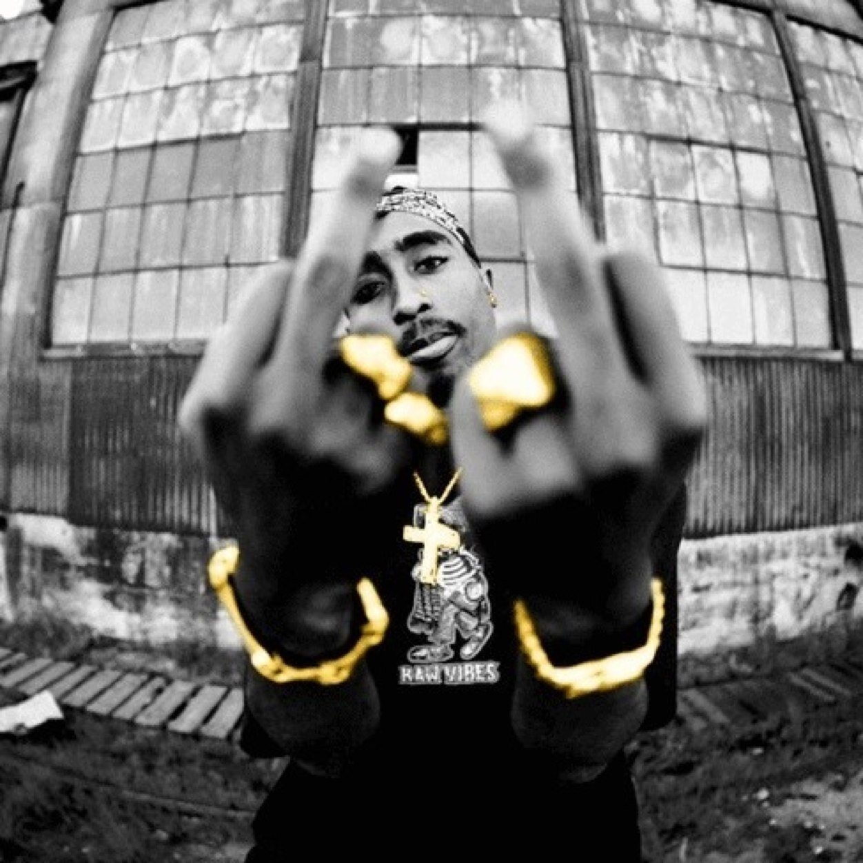 howmanydrugs's profile picture. 