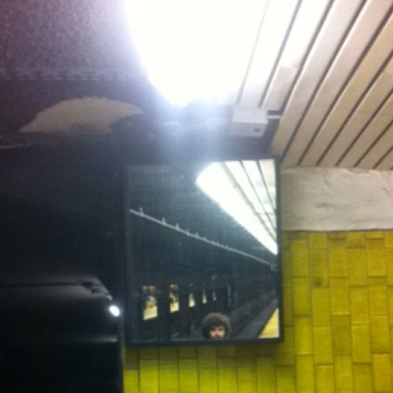 Ale_Maltese's profile picture. 