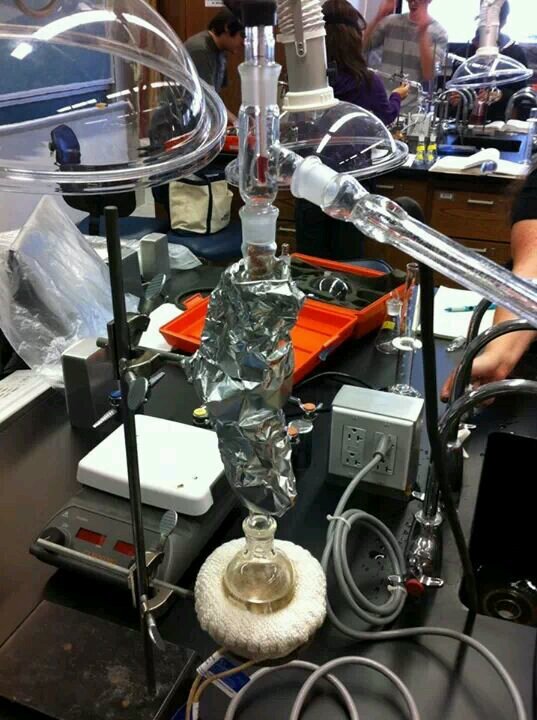 HannzasLab's profile picture. A maniacal group of mad-science students surviving lab. @hannza is the ringleader.