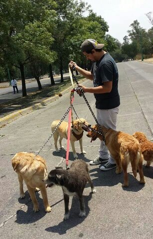 _soyunoso's profile picture. nada más que nada