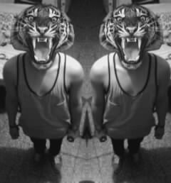 Hello, I'm stefano casilari I'm skateboarding, I have 16, I like to help others 25/05/03