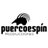 puercoespin's profile image