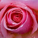 Annie Cote - @anniecote_31 - Twitter