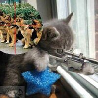 Jo (@allienzero) 's Twitter Profile