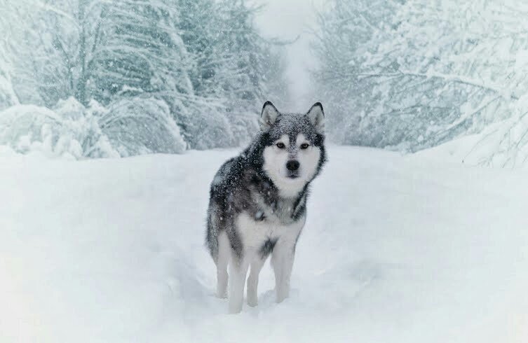 158c367b61e443b's profile picture. 