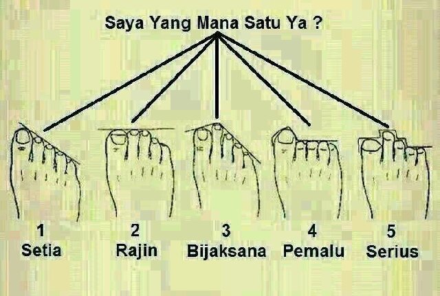 TechiQs's profile picture. 