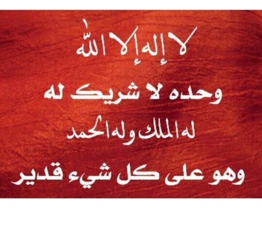 (معلمة تسعى لبناء جيل يبني أمته ووطنه.. أم لتركي ونوف)