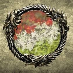 Hungarian The Elder Scrolls Fansite & Community