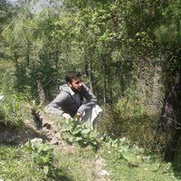 qazi hussain shah (@qazihussainshah) 's Twitter Profile