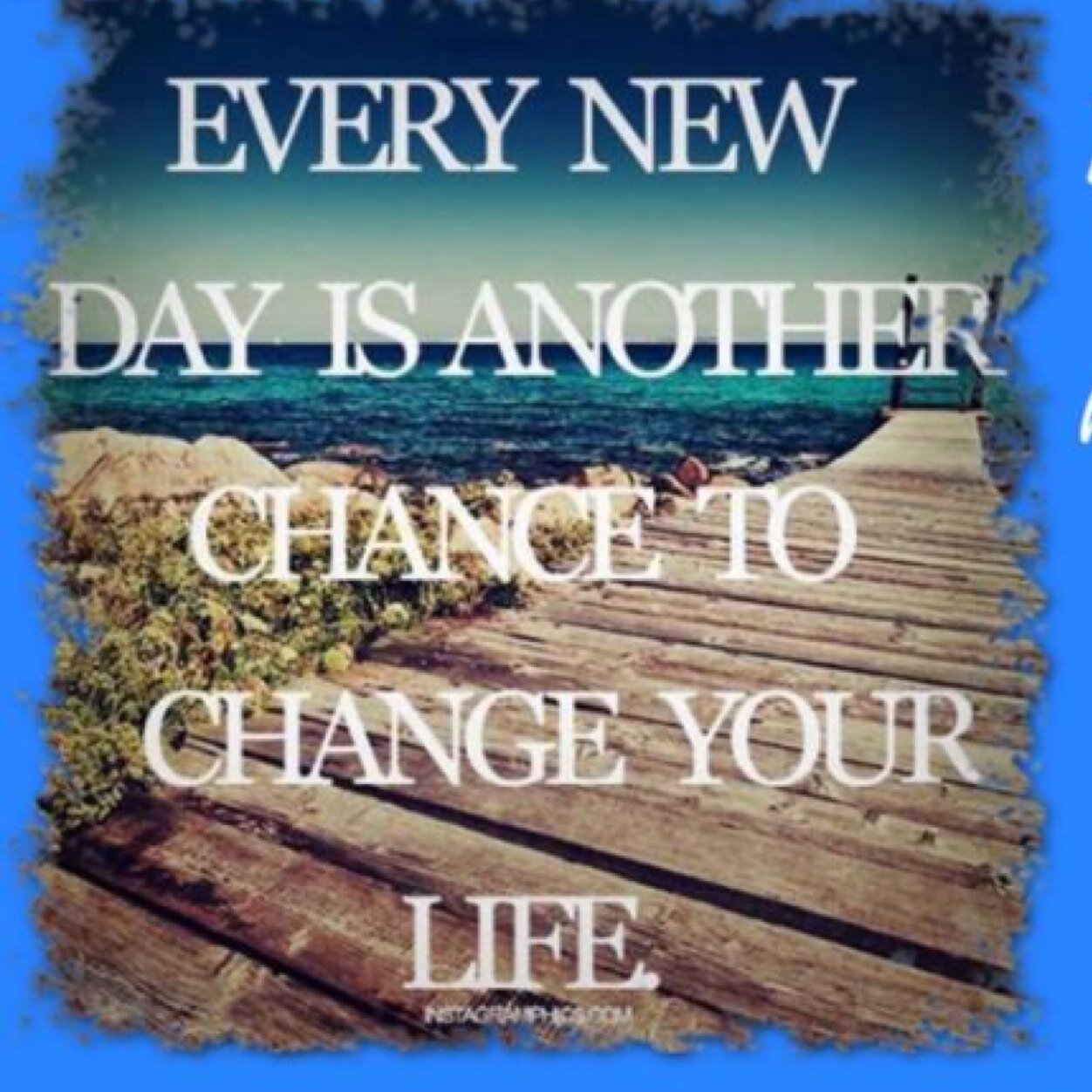 Rheanna Davies: Distributor of Aloe Vera and Bee Pollen products... Be the healthier you!
