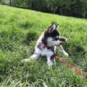 gina compton - @ginamarie_1982 - Twitter