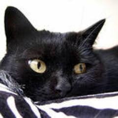 Era196533's profile picture. 