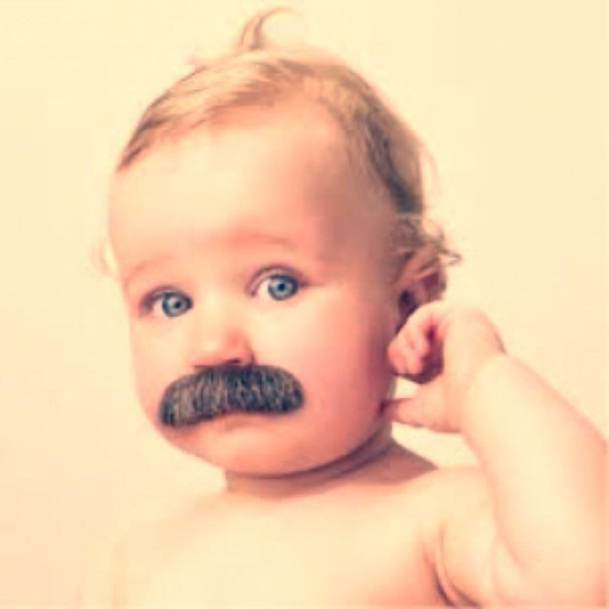 omoroigeinou's profile picture. 芸能関係、おもしろ系、トレンドを中心につぶやきます♪