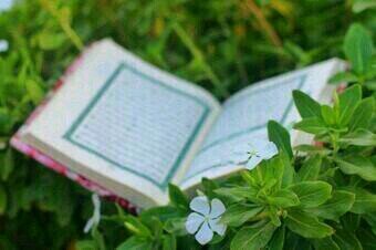 tamer46511's profile picture. 