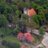 parafia_lewkow's profile image
