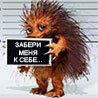 Никита Веденин