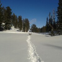 Half Job Rob (@half_job_rob) 's Twitter Profile Photo Half Job Rob (@half_job_rob) 's Twitter Profile Photo