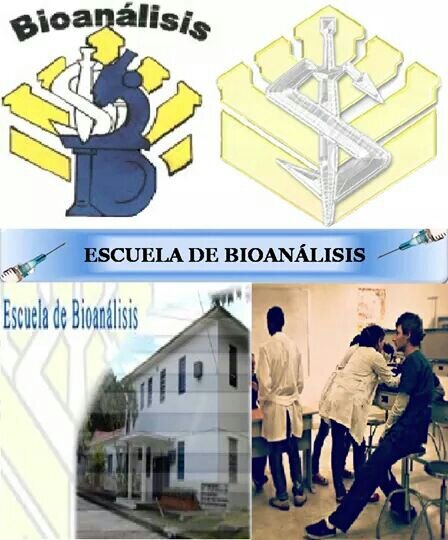 PAI_Bioanalisis's profile picture. Todo sobre la PAI y Admisión Bioanálisis UC...Orientate