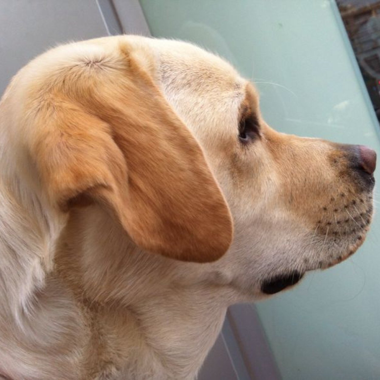 guijarrin79's profile picture. Harto de la gente, en general. Madrid