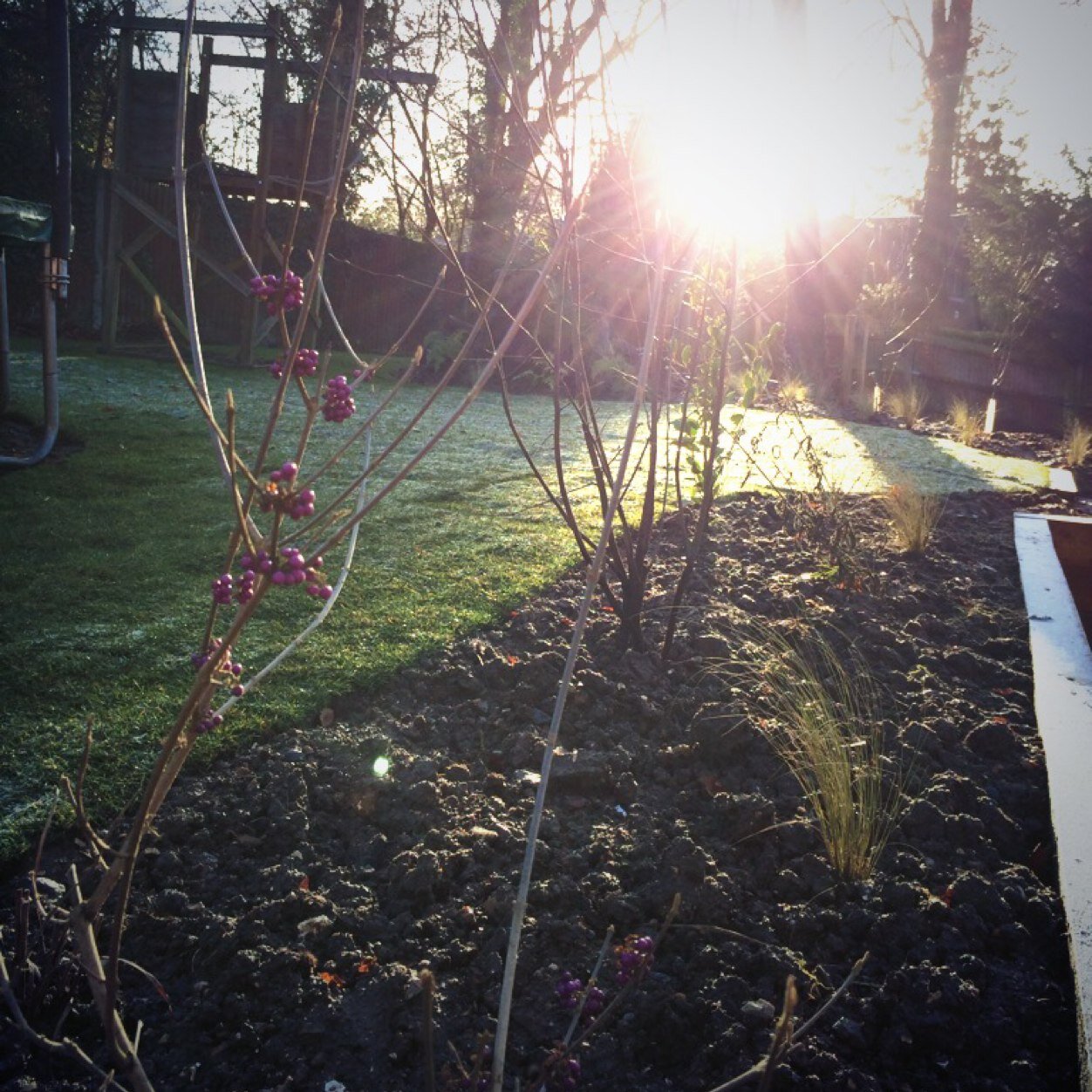 Insideoutgarden's profile picture. Small, friendly, hardworking landscaping company that aims to give our clients the garden they want