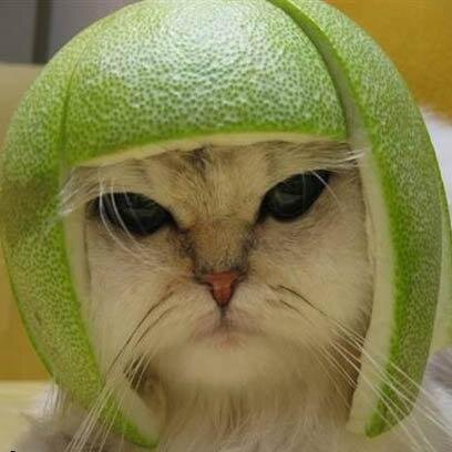 carmine_laudato's profile picture. Consulente informatico -- faccio il mestiere più vecchio al mondo ... seduto e possibilmente con le spalle al muro :D)))