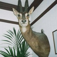 Wrecking Shop (@wreckingshopldn) 's Twitter Profile Photo