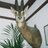WreckingShopLDN's profile image