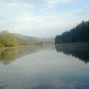 Marc Gray - @8599807 - Twitter