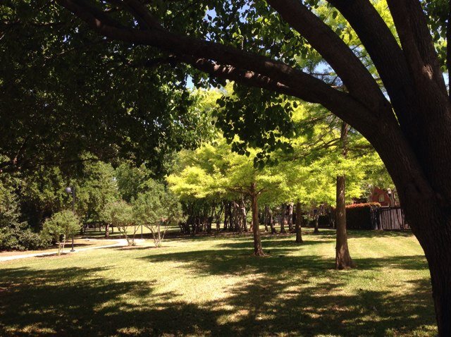 YurikoKakurai's profile picture. 