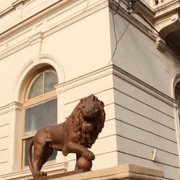 Dirección de Comunicación, Prensa y Medios Audiovisuales de la Facultad de Ciencias Veterinarias de la Universidad Nacional de La Plata