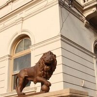 FCV-UNLP (@fcvunlp) 's Twitter Profile