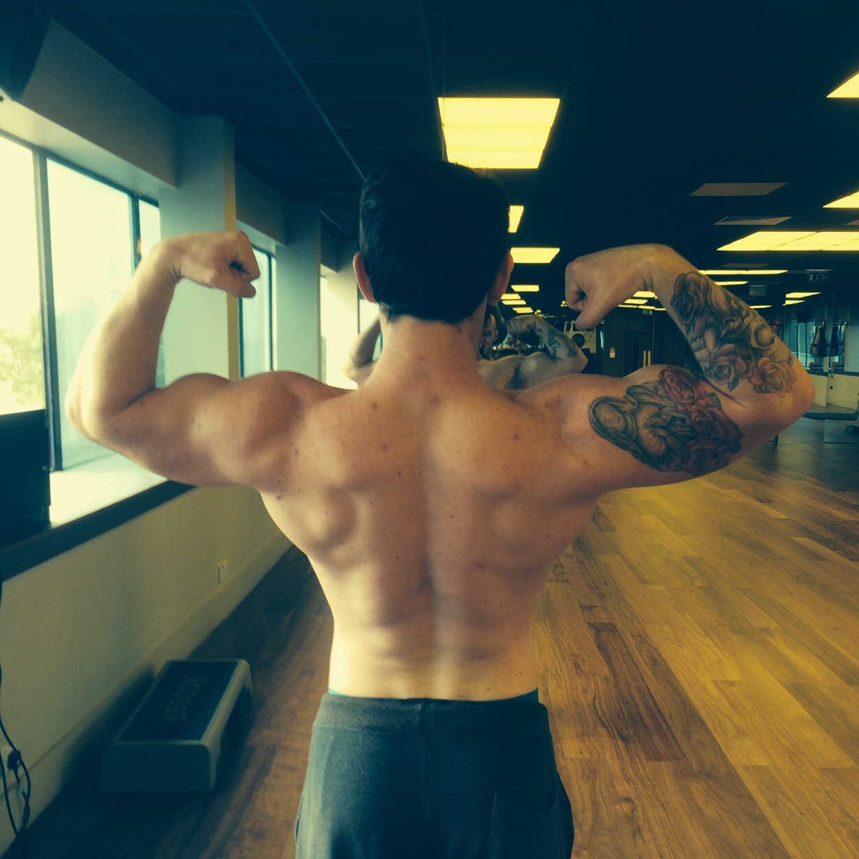 georgeelfes's profile picture. 