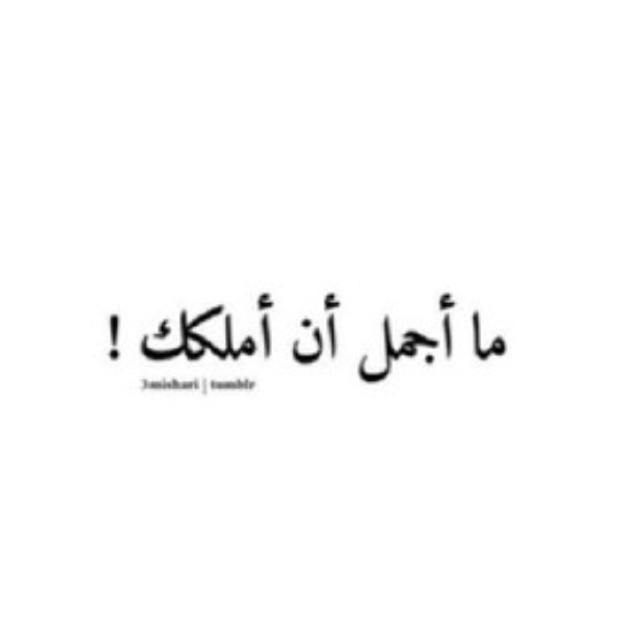 لأجلك ايڤان @eiv_69