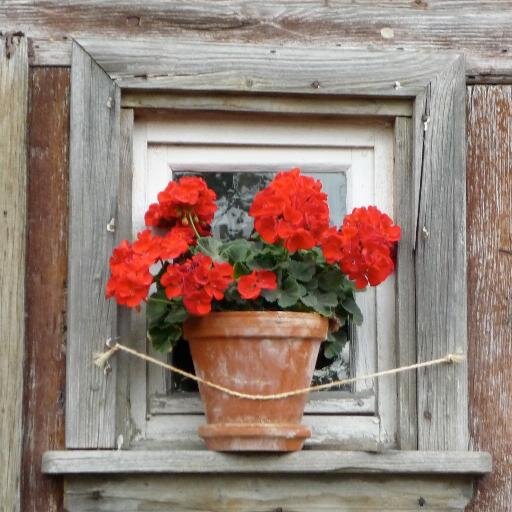 Creations of Charleston.....bringing nature to you!  Through our hand made Organic Beauty & Home Products, fun Creative Classes & Landscape Design consultancy.