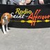 Radio Saint-Affrique (@radiostaffrique) Twitter profile photo