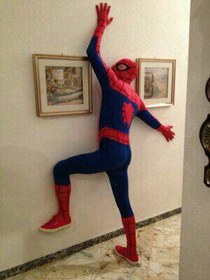 vitolips's profile picture. 