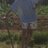 alvaroz18's profile image