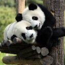 FREDDY HERRERA CARVA - @FREDDYHERRERACA - Twitter