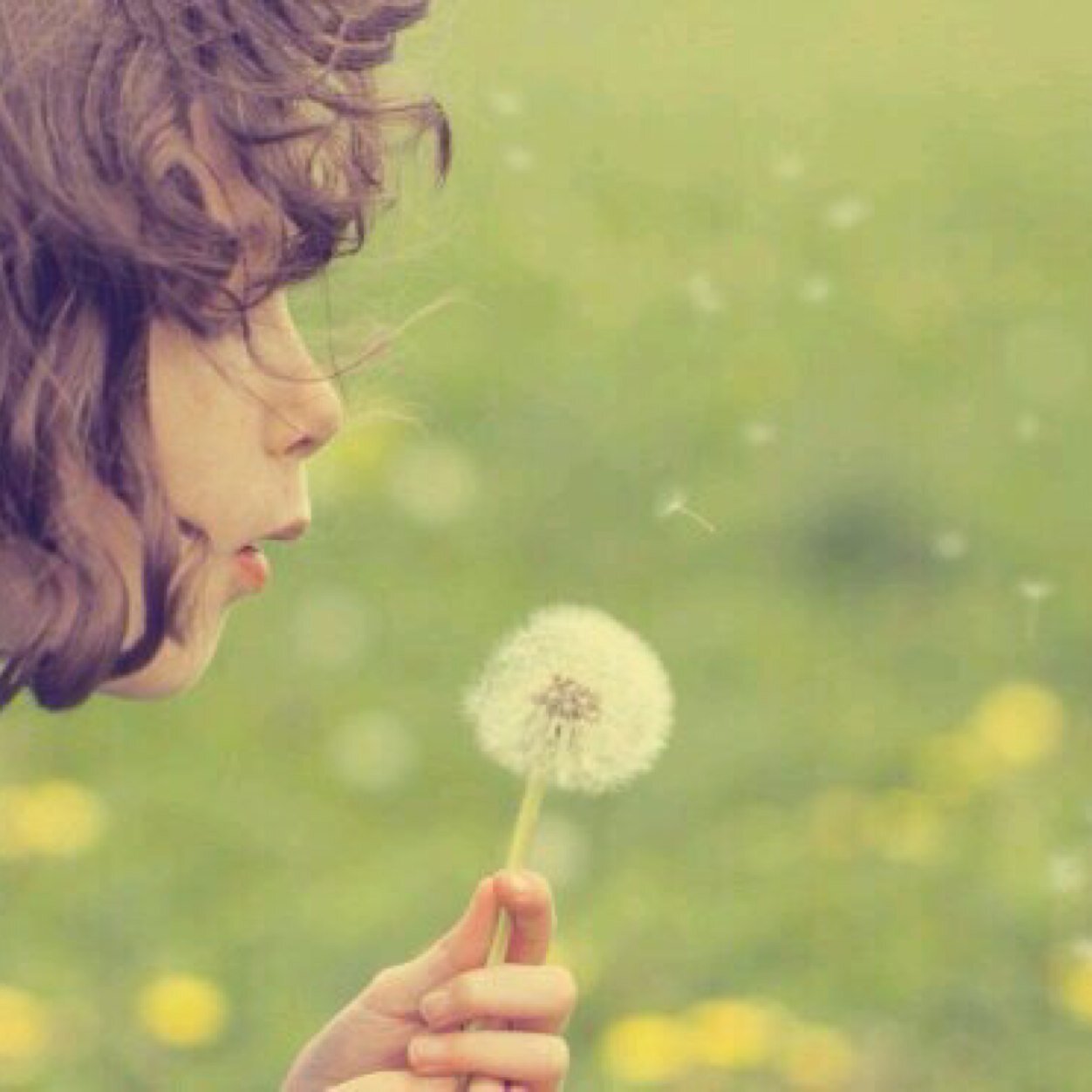 I’m fan…botonly