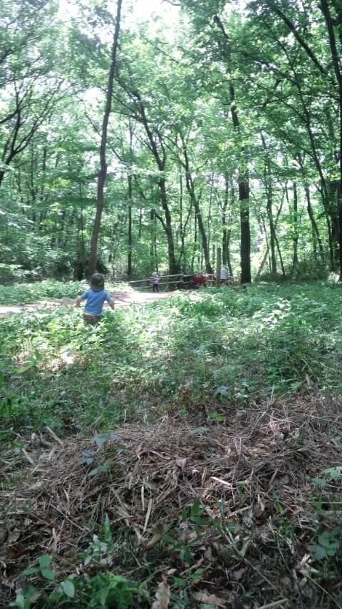 itukihaituka's profile picture. 福島県会津若松市出身 震災後よりTwitter開始 自然の中で子ども達と遊ぶ保育士 畑や田んぼも日々