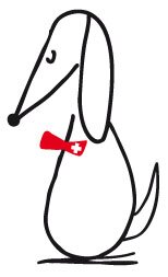 Wir nähen nach Mass! #hunde #hundeaccessoires #madeinswitzerland #designmeetsfunction #dogs #doglovers #dogsaccessories #doogcity #swissdesign #swissquality