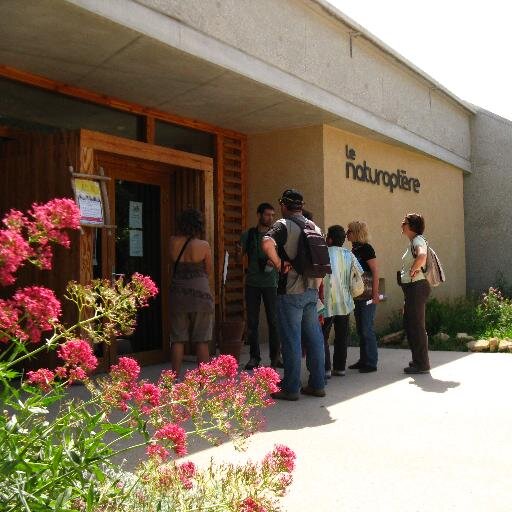 Naturoptere's profile picture. Un lieu original dédié au monde des insectes et de la Nature !