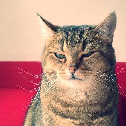 kinaclip's profile picture. ♥ Nerd. Thinker. Acupuncturist. Gamer.